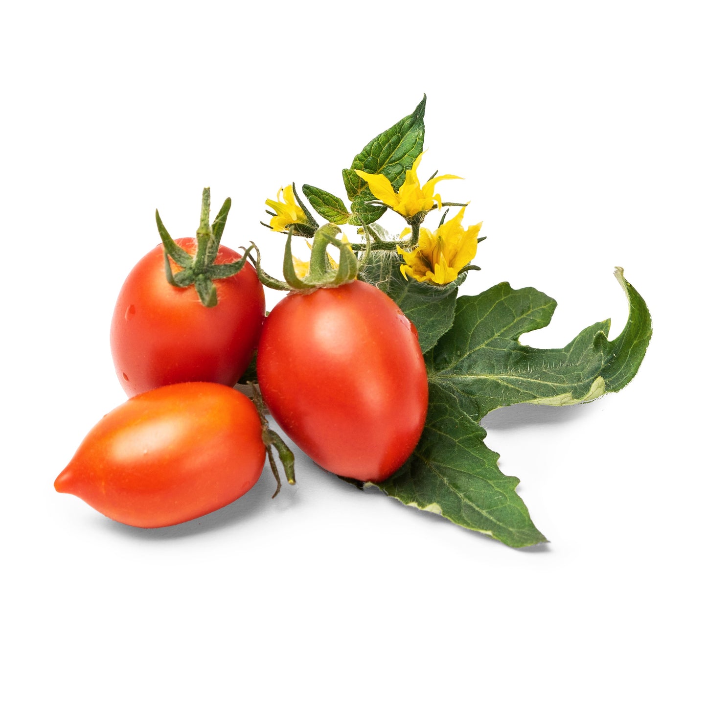 Lingot® Raudonieji mini pomidoriukai